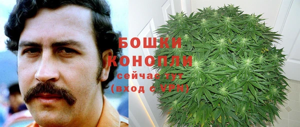 дурь Пересвет