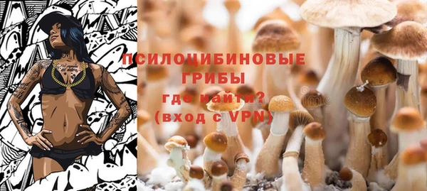 а пвп мука Вязьма