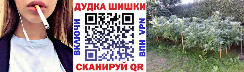 Бошки Шишки Bruce Banner Далматово